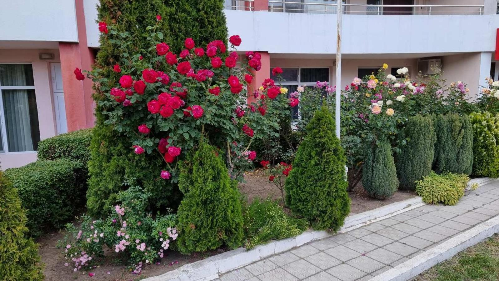 Луксозно студио Нани Кранево Экстерьер фото